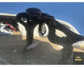 nissan-juke-i-f15-voordeur-rechts — foto 3