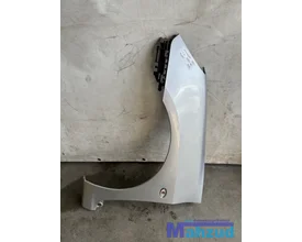 peugeot-307-zilver-ezrc-links-voorscherm-zijscherm-2000-2009