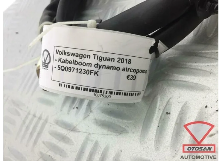 VW Tiguan 5NA 2018 Kabelboom Dynamo Aircopomp 5Q0971230FK