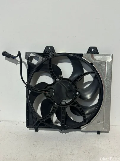 opel-citroen-peugeot-koelvin-9827752980-9838282180