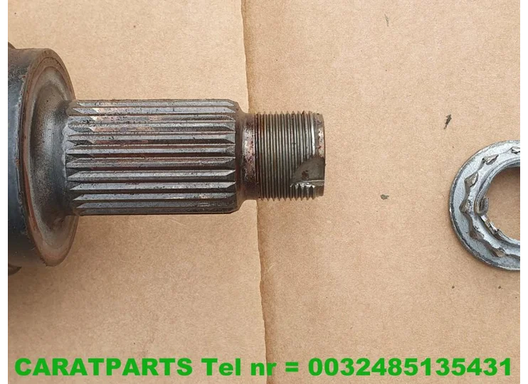 advertisement-image