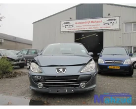 2007-peugeot-307-1-6-demontage-sloop-87