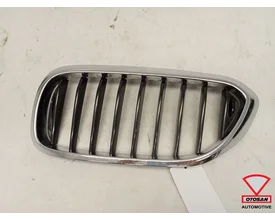 bmw-5-serie-g30-g31-grille-nieren-links-51137473700